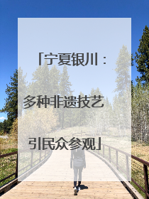 宁夏银川：多种非遗技艺引民众参观