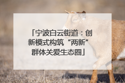 宁波白云街道：创新模式构筑“两新”群体关爱生态圈