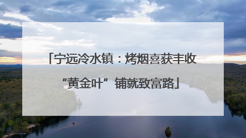 宁远冷水镇：烤烟喜获丰收 “黄金叶”铺就致富路