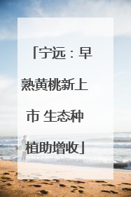 宁远：早熟黄桃新上市 生态种植助增收