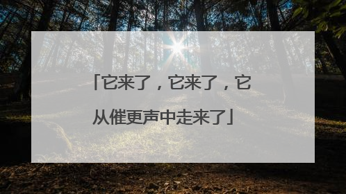 它来了，它来了，它从催更声中走来了