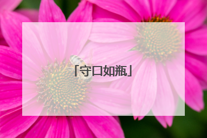守口如瓶