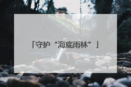 守护“海底雨林”