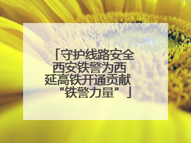 守护线路安全 西安铁警为西延高铁开通贡献“铁警力量”