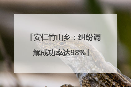 安仁竹山乡：纠纷调解成功率达98%
