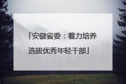 安徽省委：着力培养选拔优秀年轻干部
