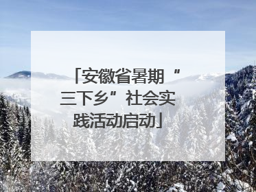 安徽省暑期“三下乡”社会实践活动启动