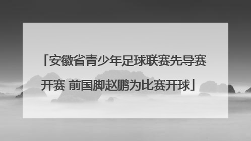 安徽省青少年足球联赛先导赛开赛 前国脚赵鹏为比赛开球