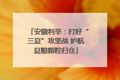 安徽利辛：打好“三夏”攻坚战 护航夏粮颗粒归仓