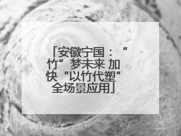 安徽宁国：“竹”梦未来 加快“以竹代塑”全场景应用
