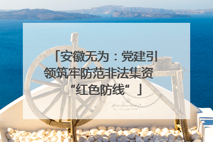 安徽无为：党建引领筑牢防范非法集资“红色防线”