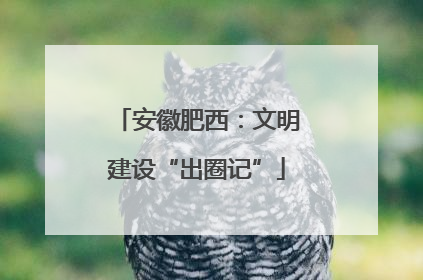 安徽肥西：文明建设“出圈记”
