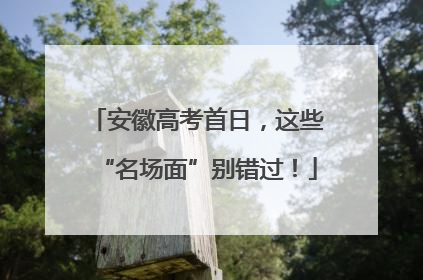 安徽高考首日，这些“名场面”别错过！