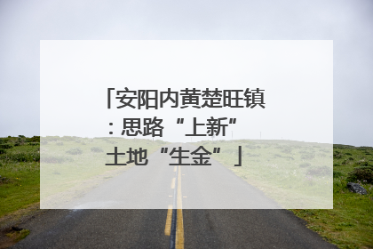 安阳内黄楚旺镇：思路“上新” 土地“生金”