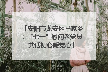 安阳市龙安区马家乡：“七一”慰问老党员 共话初心暖党心