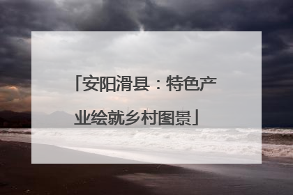 安阳滑县：特色产业绘就乡村图景