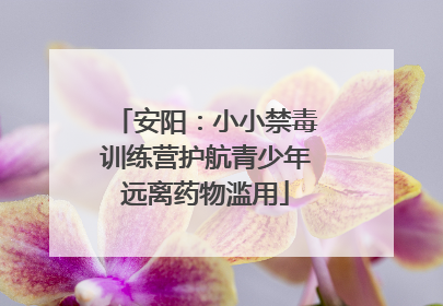 安阳：小小禁毒训练营护航青少年远离药物滥用