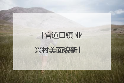 官道口镇 业兴村美面貌新
