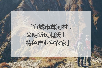 宜城市莺河村：文明新风润沃土 特色产业富农家