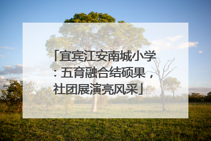宜宾江安南城小学：五育融合结硕果，社团展演亮风采