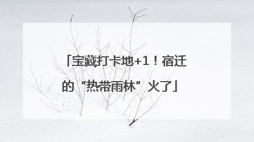 宝藏打卡地+1！宿迁的“热带雨林”火了