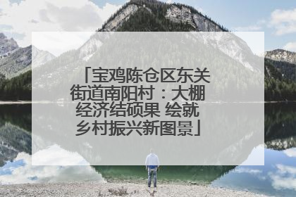 宝鸡陈仓区东关街道南阳村：大棚经济结硕果 绘就乡村振兴新图景
