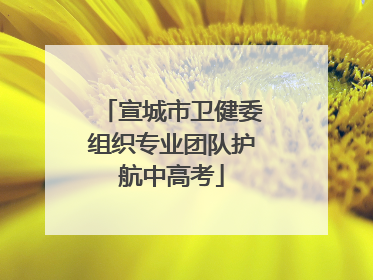 宣城市卫健委组织专业团队护航中高考