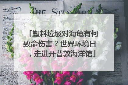 塑料垃圾对海龟有何致命伤害？世界环境日，走进开普敦海洋馆