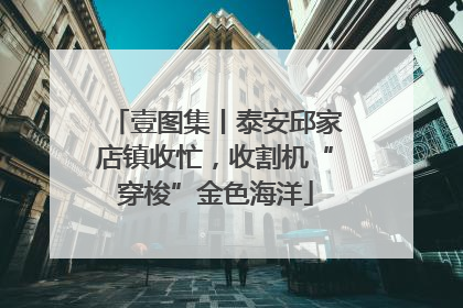 壹图集丨泰安邱家店镇收忙，收割机“穿梭”金色海洋