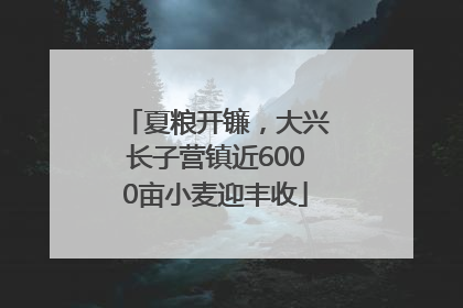 夏粮开镰，大兴长子营镇近6000亩小麦迎丰收