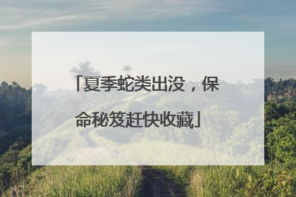 夏季蛇类出没，保命秘笈赶快收藏
