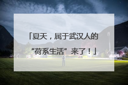 夏天，属于武汉人的“荷系生活”来了！