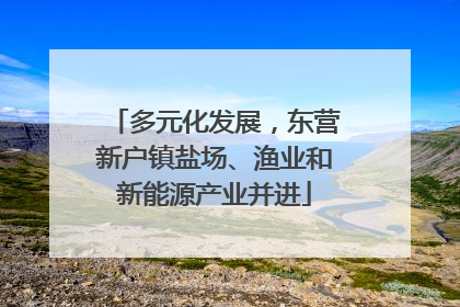 多元化发展，东营新户镇盐场、渔业和新能源产业并进