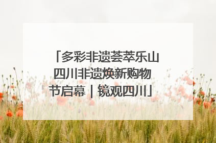 多彩非遗荟萃乐山 四川非遗焕新购物节启幕｜镜观四川