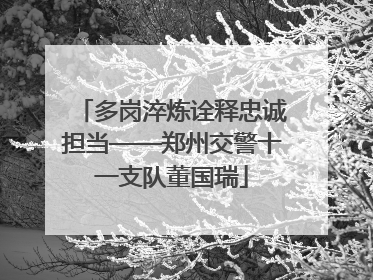 多岗淬炼诠释忠诚担当——郑州交警十一支队董国瑞
