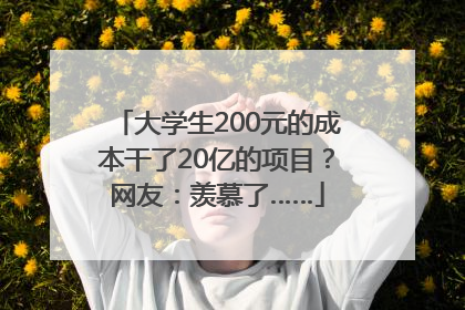 大学生200元的成本干了20亿的项目？网友：羡慕了……