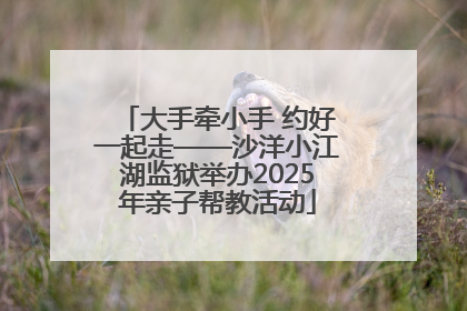大手牵小手 约好一起走——沙洋小江湖监狱举办2025年亲子帮教活动
