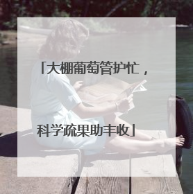 大棚葡萄管护忙，科学疏果助丰收