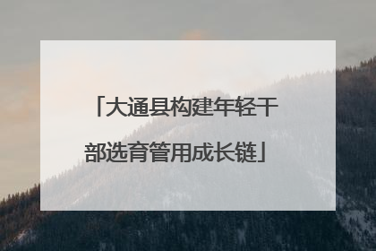 大通县构建年轻干部选育管用成长链