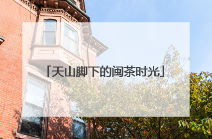 天山脚下的闽茶时光