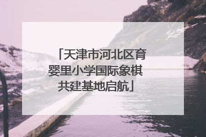 天津市河北区育婴里小学国际象棋共建基地启航