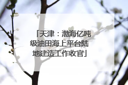 天津：渤海亿吨级油田海上平台陆地建造工作收官
