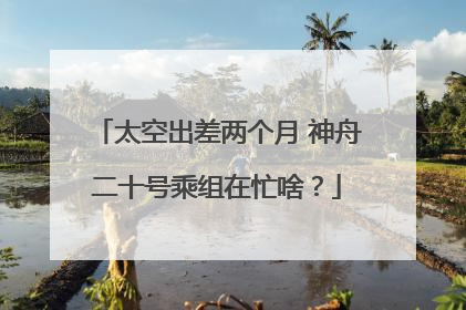 太空出差两个月 神舟二十号乘组在忙啥？