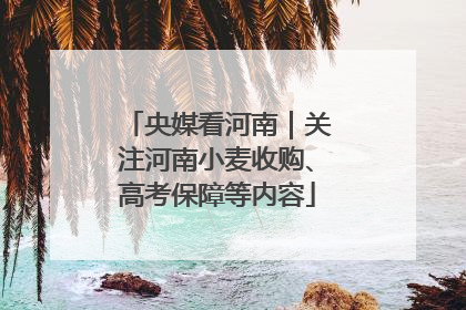 央媒看河南｜关注河南小麦收购、高考保障等内容