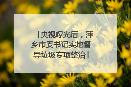 央视曝光后，萍乡市委书记实地督导垃圾专项整治