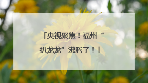 央视聚焦！福州“扒龙龙”沸腾了！