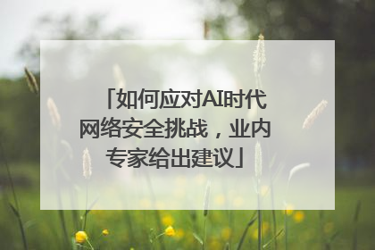 如何应对AI时代网络安全挑战，业内专家给出建议