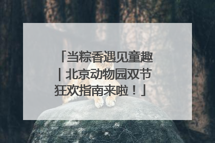 当粽香遇见童趣｜北京动物园双节狂欢指南来啦！