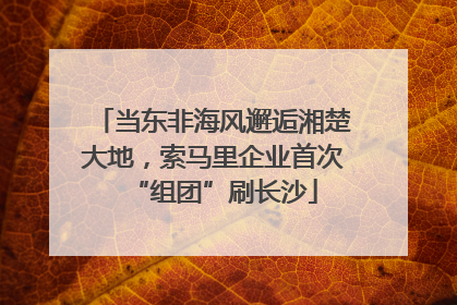 当东非海风邂逅湘楚大地，索马里企业首次“组团”刷长沙
