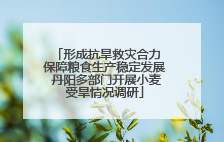 形成抗旱救灾合力 保障粮食生产稳定发展 丹阳多部门开展小麦受旱情况调研